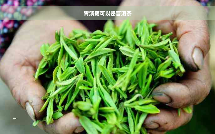 胃溃疡可以熟普洱茶