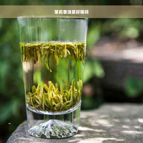 茉莉普洱茶好喝吗