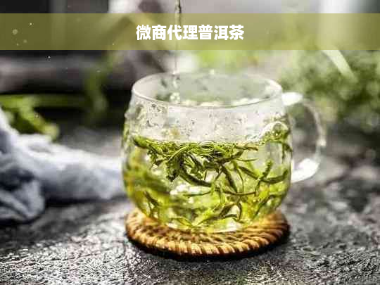 微商代理普洱茶