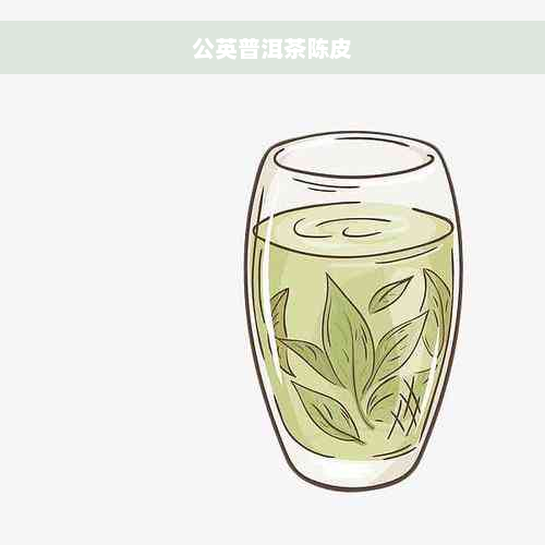 公英普洱茶陈皮