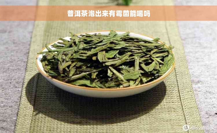 普洱茶泡出来有霉菌能喝吗