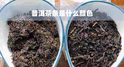 普洱茶条是什么颜色