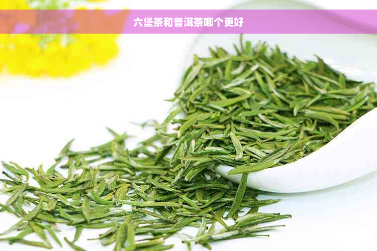 六堡茶和普洱茶哪个更好