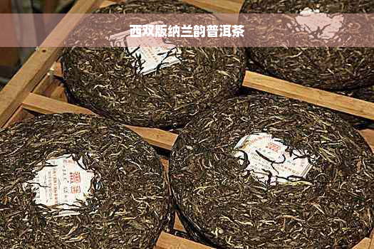 西双版纳兰韵普洱茶