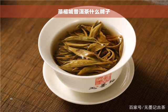 潮福城普洱茶什么牌子