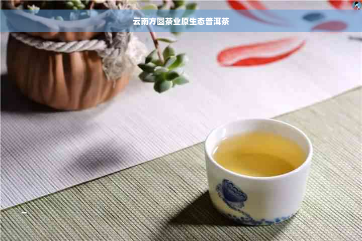 云南方圆茶业原生态普洱茶