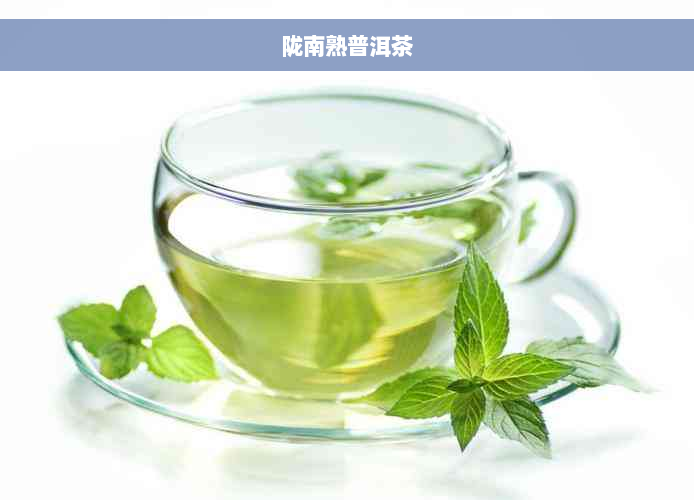 陇南熟普洱茶