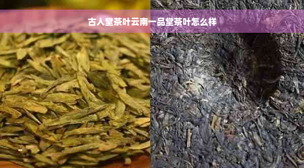 古人堂茶叶云南一品堂茶叶怎么样