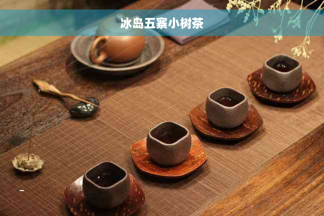 冰岛五寨小树茶