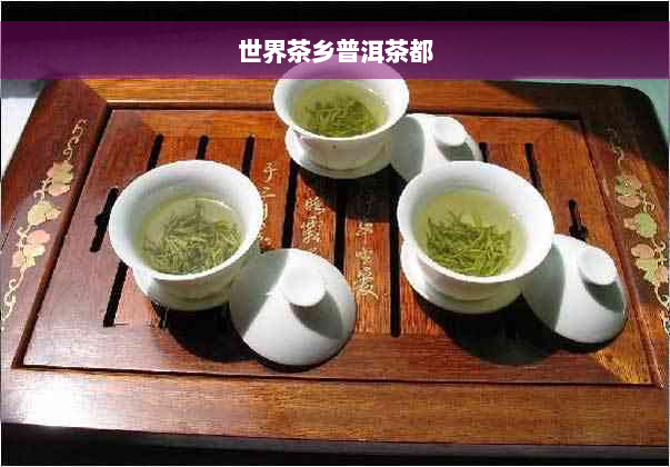 世界茶乡普洱茶都