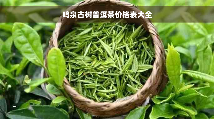 鸣泉古树普洱茶价格表大全