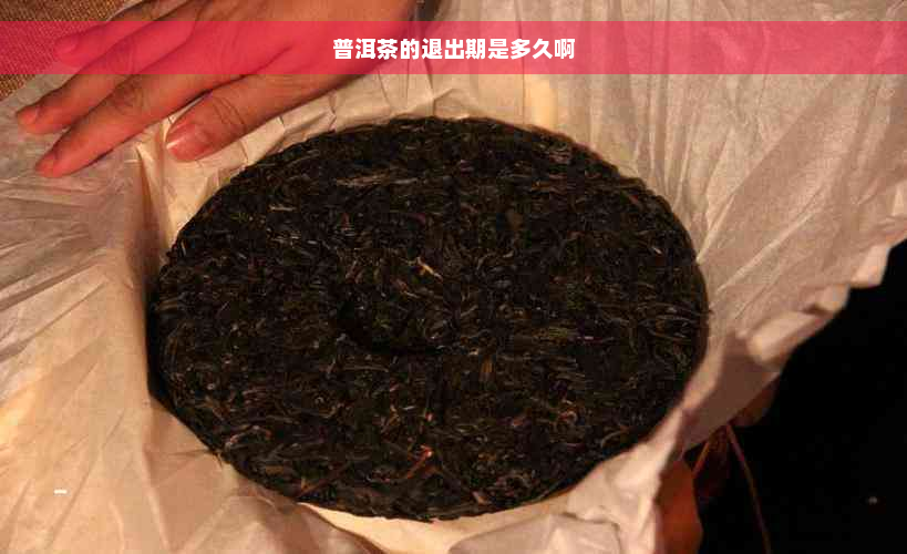 普洱茶的退出期是多久啊