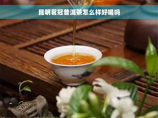 昆明茗冠普洱茶怎么样好喝吗