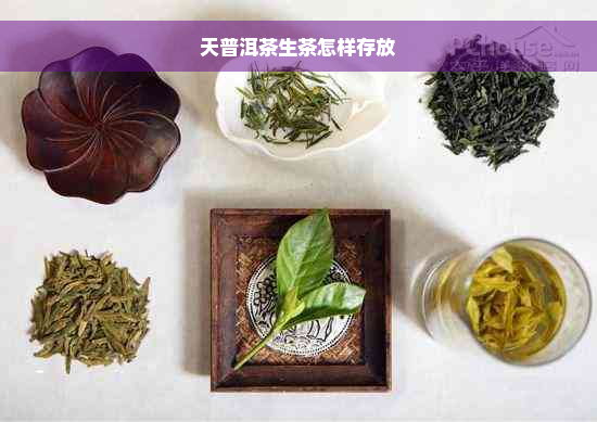 天普洱茶生茶怎样存放