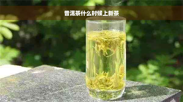 普洱茶什么时候上新茶