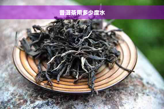 普洱茶用多少度水