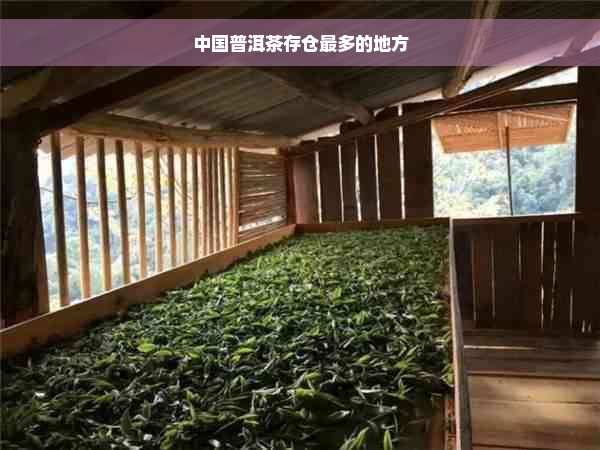 中国普洱茶存仓最多的地方