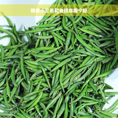 糯香小沱茶和老班章哪个好