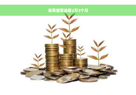 花呗借呗逾期2万3个月