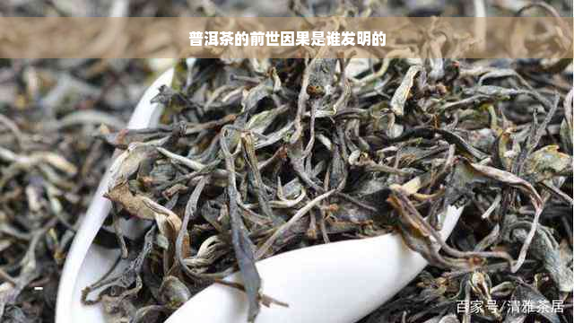 普洱茶的前世因果是谁发明的