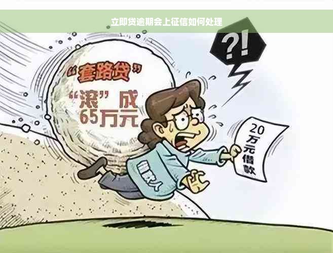 立即贷逾期会上征信如何处理