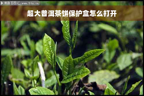 超大普洱茶饼保护盒怎么打开