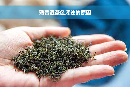 熟普洱茶色浑浊的原因