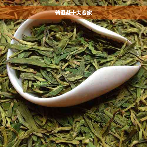 普洱茶十大专家