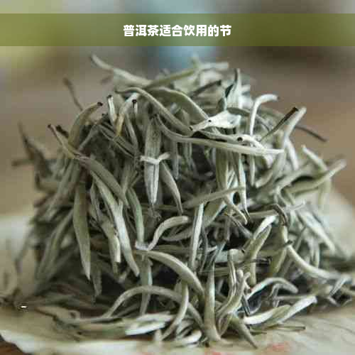 普洱茶适合饮用的节