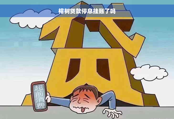 榕树贷款停息挂账了吗