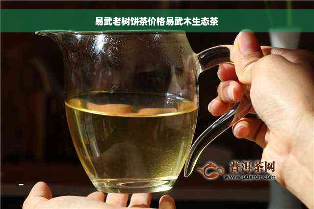 易武老树饼茶价格易武木生态茶