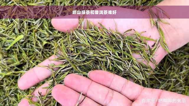 崂山绿茶和普洱茶谁好