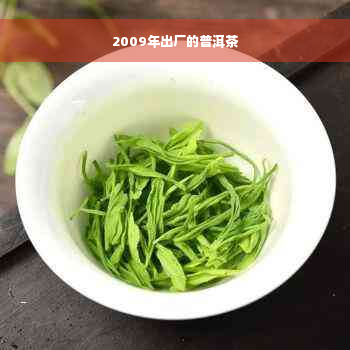 2009年出厂的普洱茶