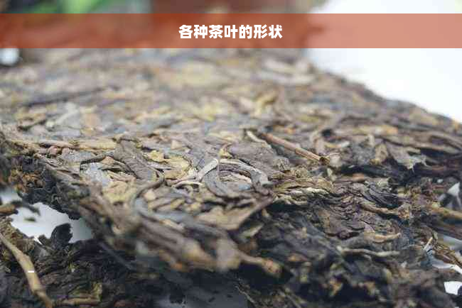 各种茶叶的形状