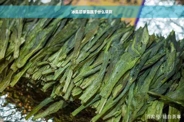 冰岛印象茶属于什么级别