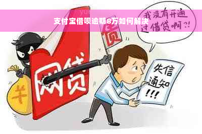 支付宝借呗逾期8万如何解决