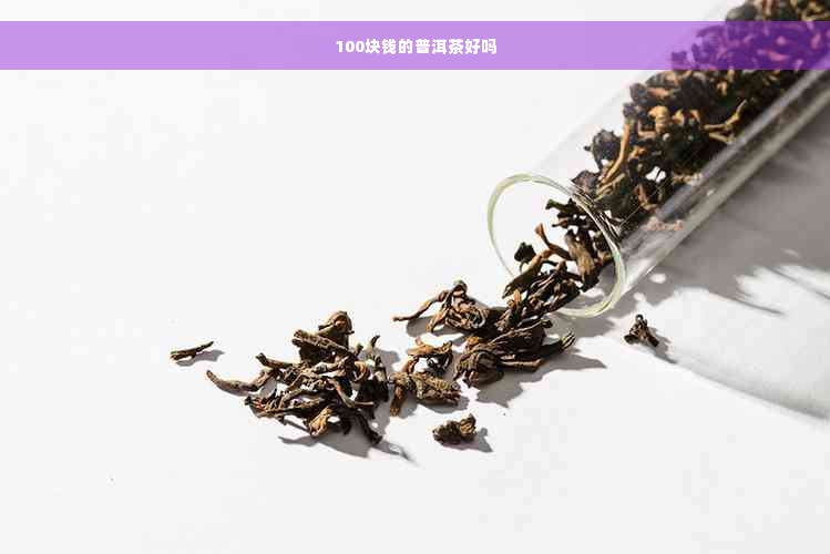 100块钱的普洱茶好吗