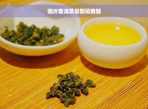 临沂普洱茶总部招商部