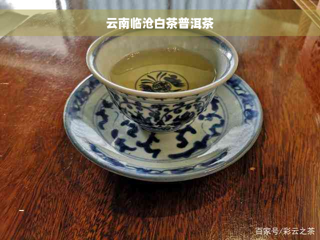 云南临沧白茶普洱茶