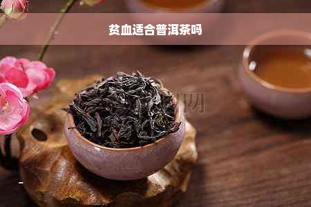 贫血适合普洱茶吗