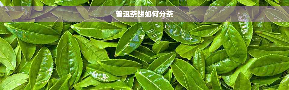 普洱茶饼如何分茶