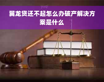 翼龙贷还不起怎么办破产解决方案是什么