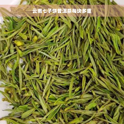 云南七子饼普洱茶每块多重