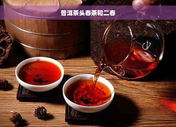 普洱茶头春茶和二春