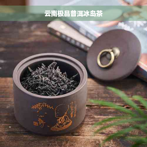 云南极品普洱冰岛茶