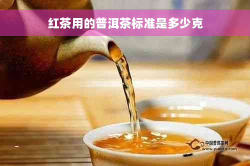 红茶用的普洱茶标准是多少克