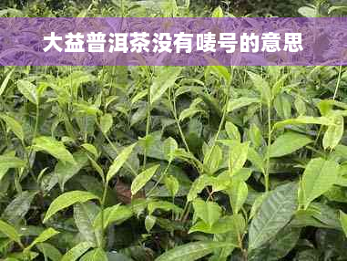 大益普洱茶没有唛号的意思