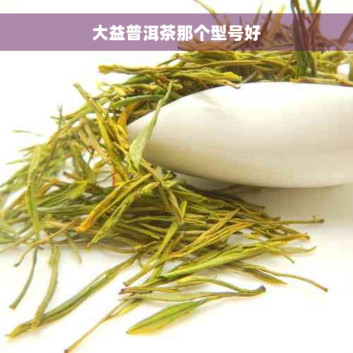 大益普洱茶那个型号好