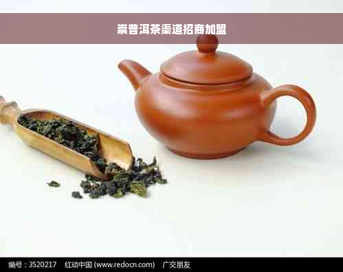 崇普洱茶渠道招商加盟