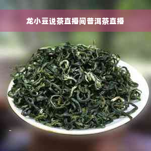 龙小豆说茶直播间普洱茶直播